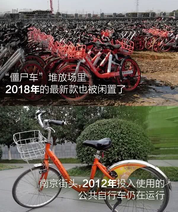 橙子瘦——av大帝在线视频成人，揭秘水果界的减肥神器，健康瘦身新风尚